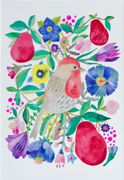 House Finch and Pears